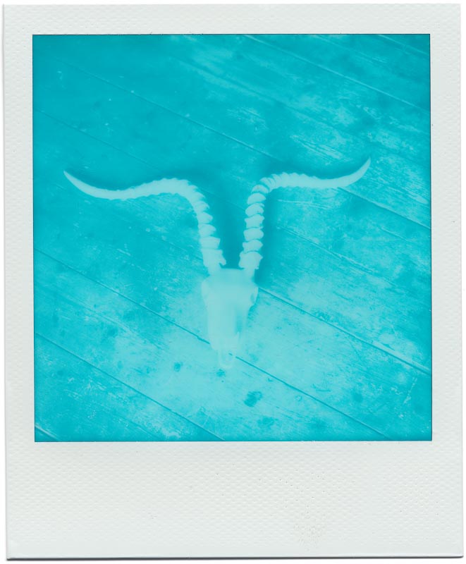 Impossible Cyanograph SX-70 4