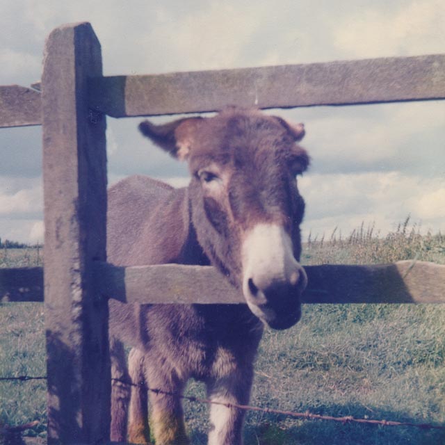 Kodak 255x Instamatic Camera gallery - Image 2