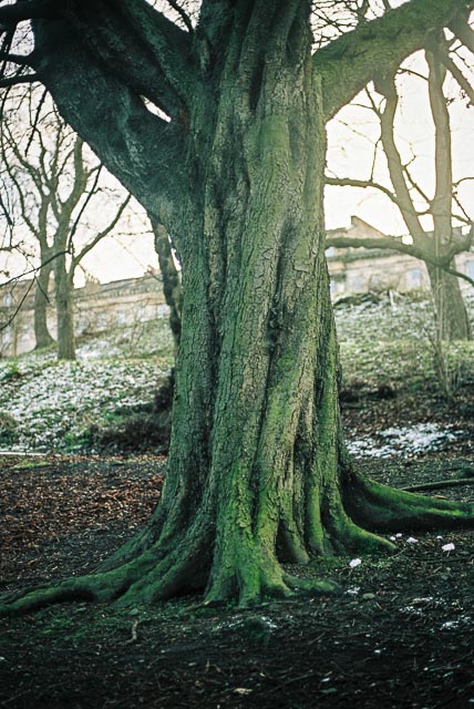 Mamiya NC1000s gallery - Image 2