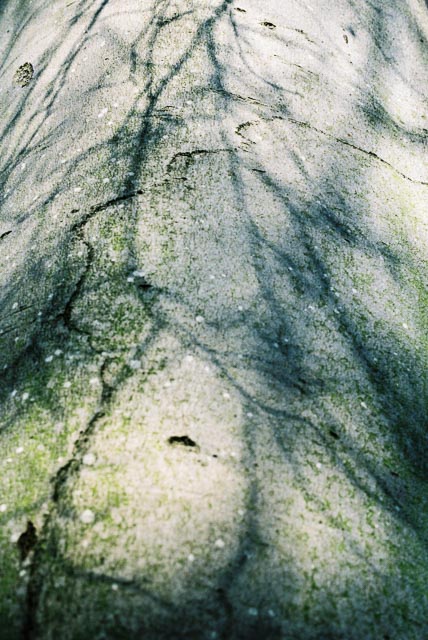 Mamiya NC1000s gallery - Image 3