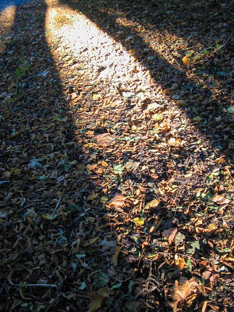 Canon Digital IXUS i gallery - Image 1