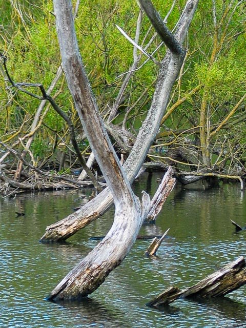 Canon Powershot G3 gallery - Image 11