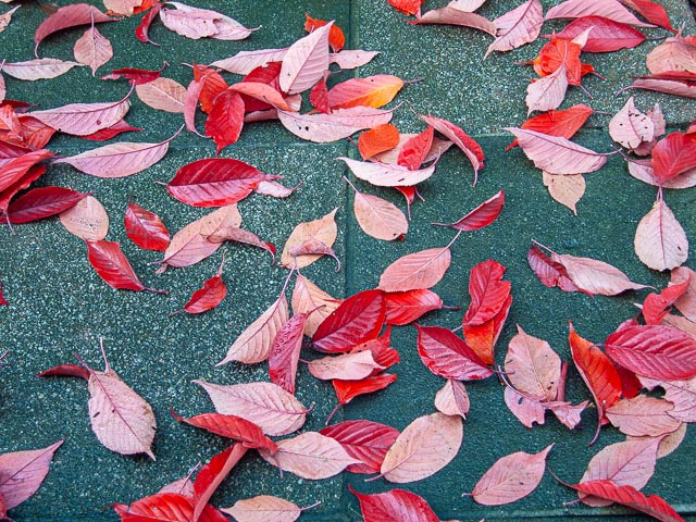 Canon PowerShot S70 gallery - Image 2