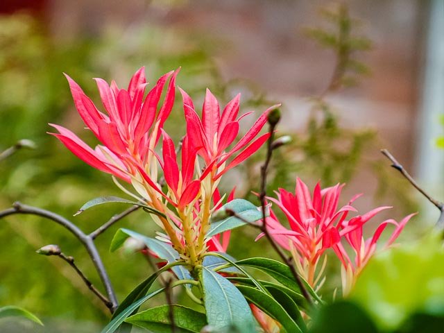 Fujifilm Finepix 4900 Zoom gallery - Image 9
