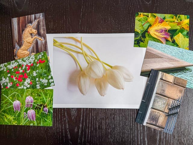Fujifilm Finepix 4900 Zoom prints