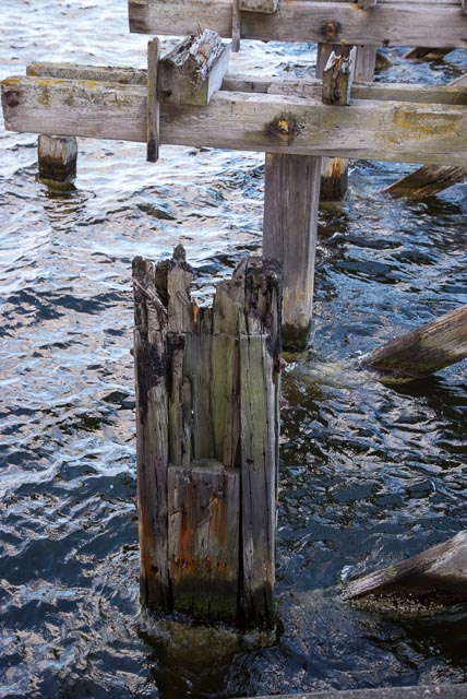 Fujifilm FinePix S5 Pro gallery - Image 14