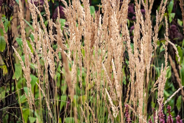 Fujifilm FinePix S5 Pro gallery - Image 8