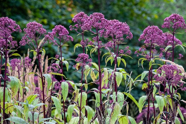 Fujifilm FinePix S5 Pro gallery - Image 10