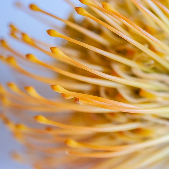 Fujifilm FinePix S5 Pro gallery - Image 21