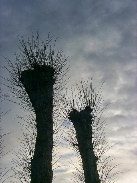 Kodak DC260 Zoom gallery - Image 2