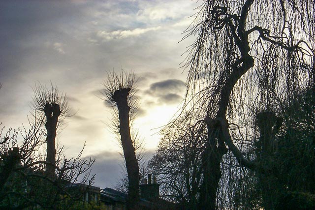 Kodak DC260 Zoom gallery - Image 4