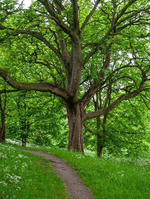 Leica Digilux 2 gallery - Image 12