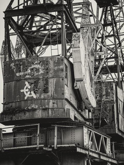 Leica Digilux 3 gallery - Image 14