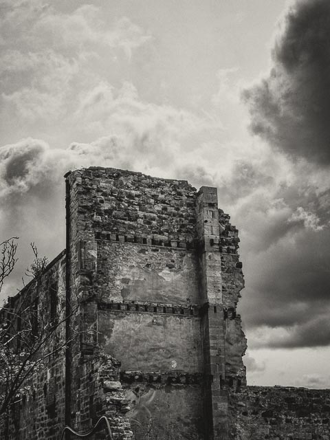 Leica Digilux 3 gallery - Image 11