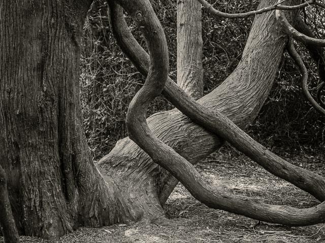 Leica Digilux 3 gallery - Image 24