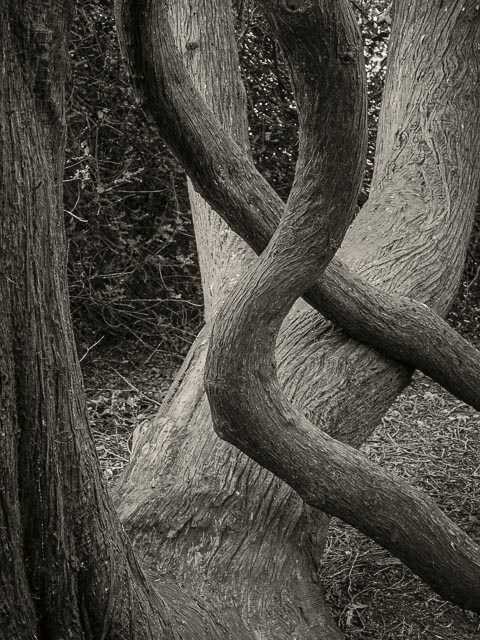 Leica Digilux 3 gallery - Image 21