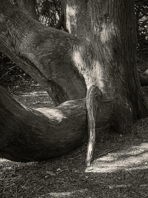Leica Digilux 3 gallery - Image 23