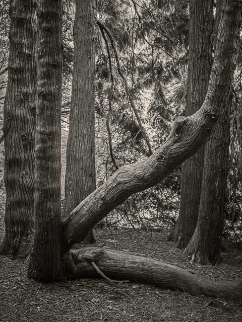 Leica Digilux 3 gallery - Image 22