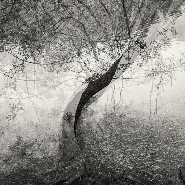 Leica Digilux 3 gallery - Image 26