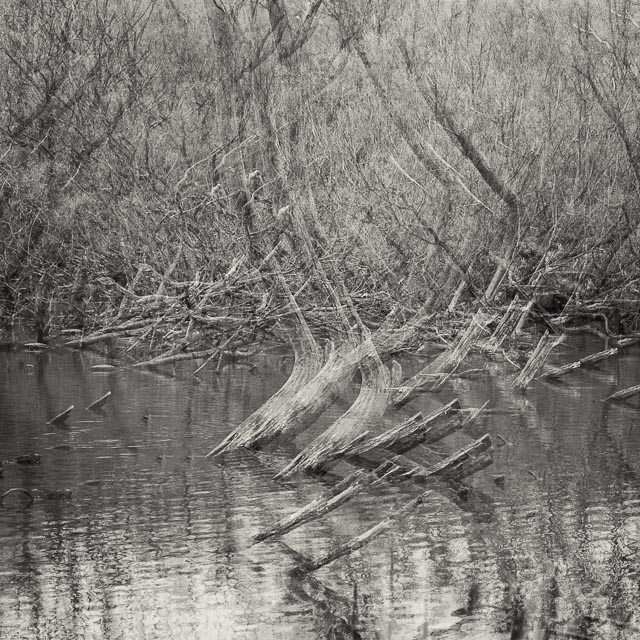Leica Digilux 3 gallery - Image 27