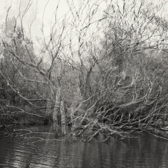 Leica Digilux 3 gallery - Image 28