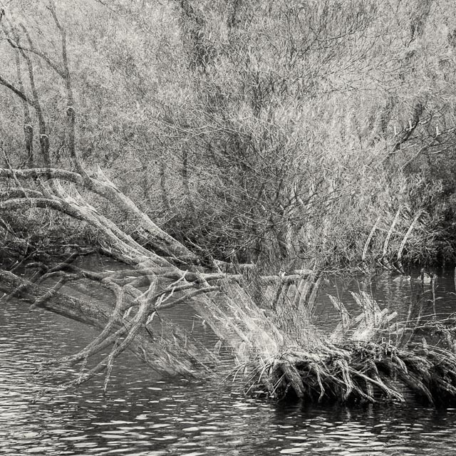 Leica Digilux 3 gallery - Image 25