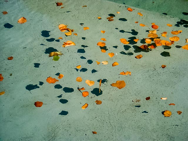 Minolta DiMÂGE EX Zoom 1500 gallery - Image 9