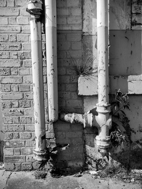 Nikon Coolpix P500 gallery - Image 8