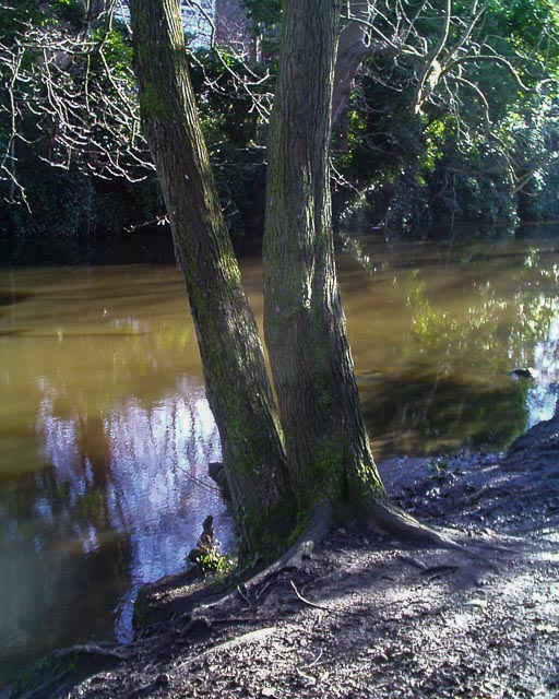 Olympus Camedia C-1400L gallery - Image 3