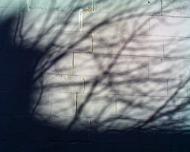 Olympus Camedia C-1400L gallery - Image 2