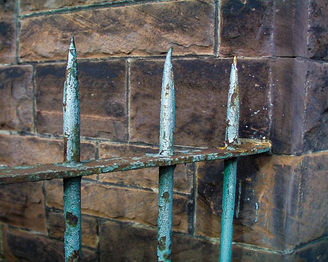 Olympus Camedia C-1400L gallery - Image 10