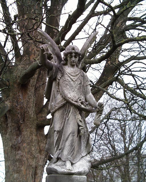 Olympus Camedia C-1400L gallery - Image 18