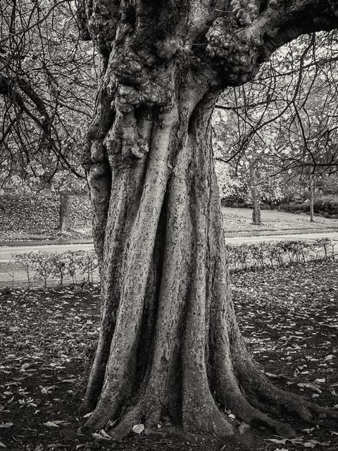 Olympus E-410 gallery - Image 1