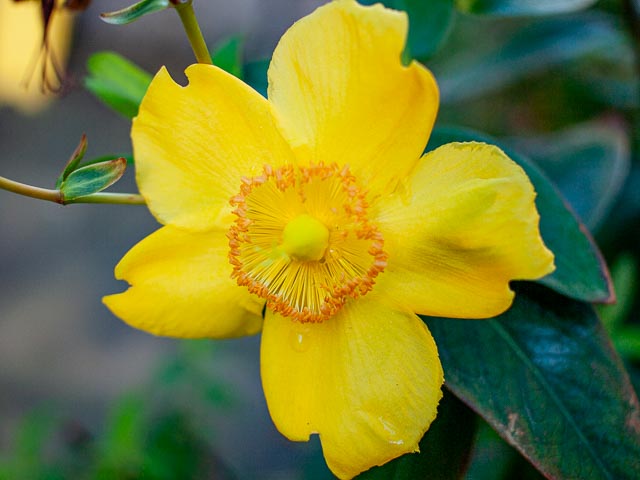 Olympus E-410 gallery - Image 5