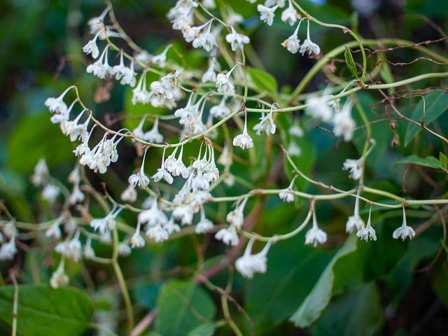 Olympus E-410 gallery - Image 14