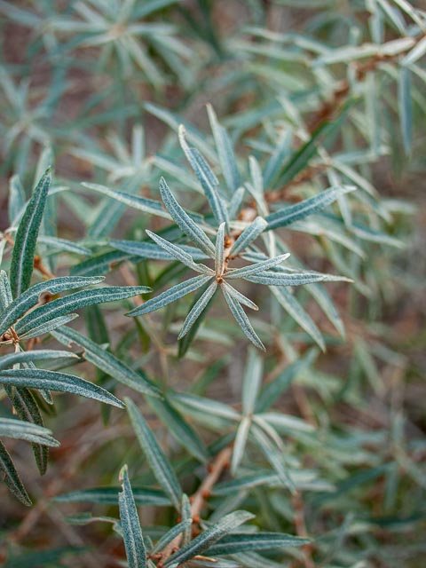 Olympus E-410 gallery - Image 12