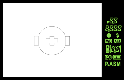 Olympus E-410 viewfinder display