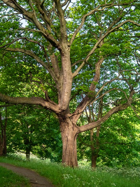 Pentax Q gallery - Image 1