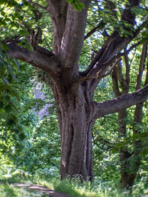 Pentax Q gallery - Image 22