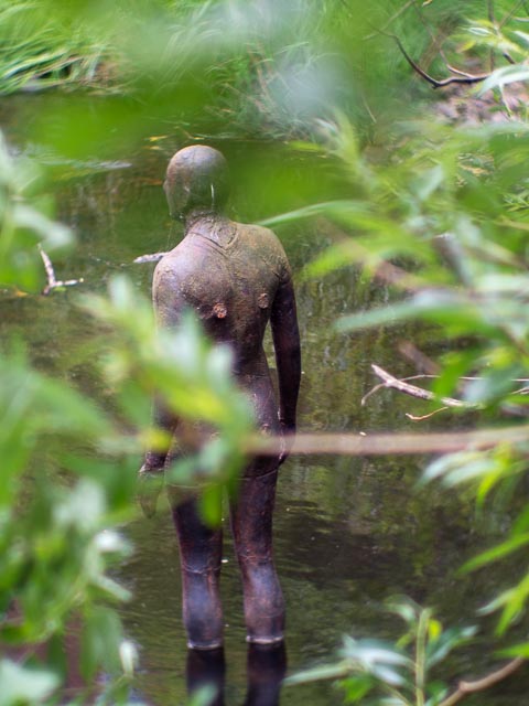 Pentax Q gallery - Image 23