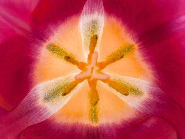 Sigma SD14 gallery - Image 7