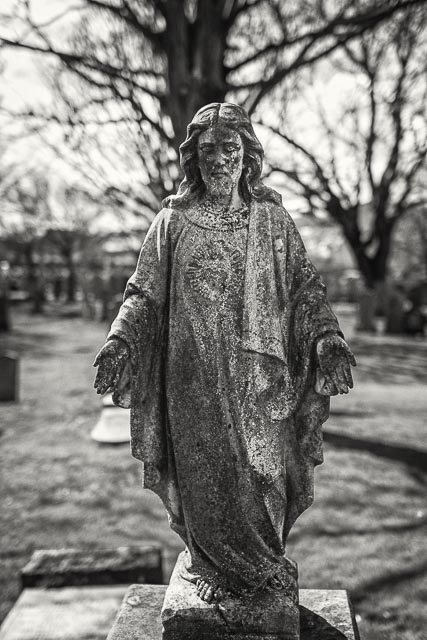 Sigma SD14 gallery - Image 14