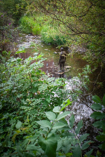 Sony Alpha DSLR-A100 gallery - Image 3