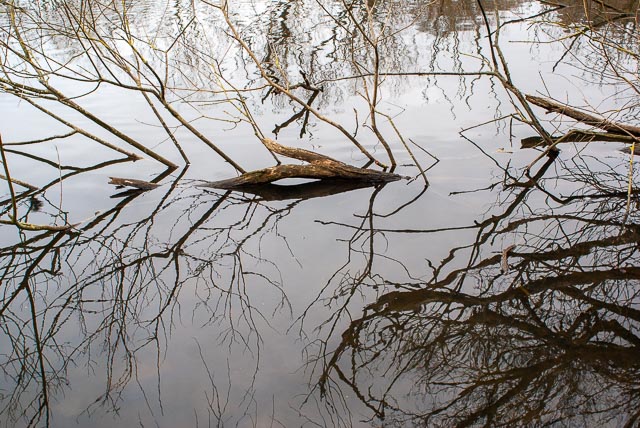 Sony Alpha DSLR-A100 gallery - Image 5