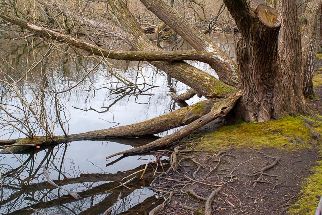 Sony Alpha DSLR-A100 gallery - Image 6