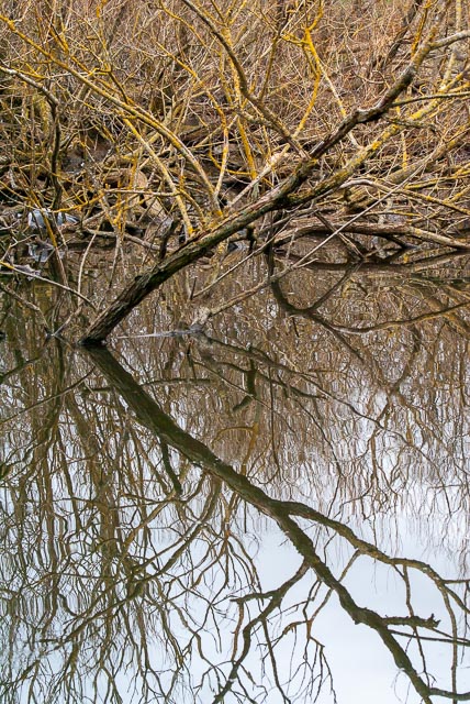 Sony Alpha DSLR-A100 gallery - Image 7