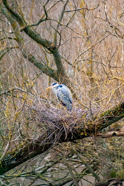 Sony Alpha DSLR-A100 gallery - Image 13