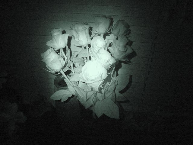 'Nightshot' image shot with a Sony Cyber-shot DSC-V1 camera.