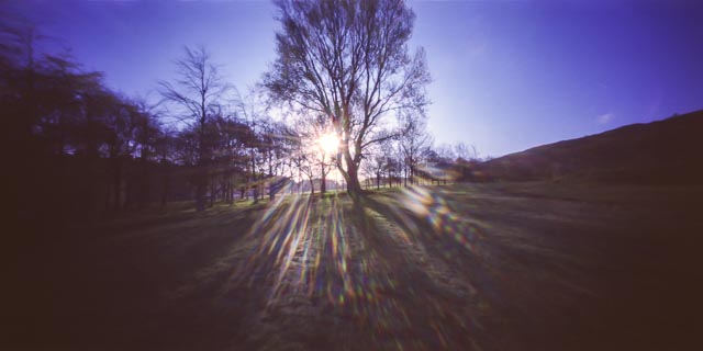 Analogue pinhole 6