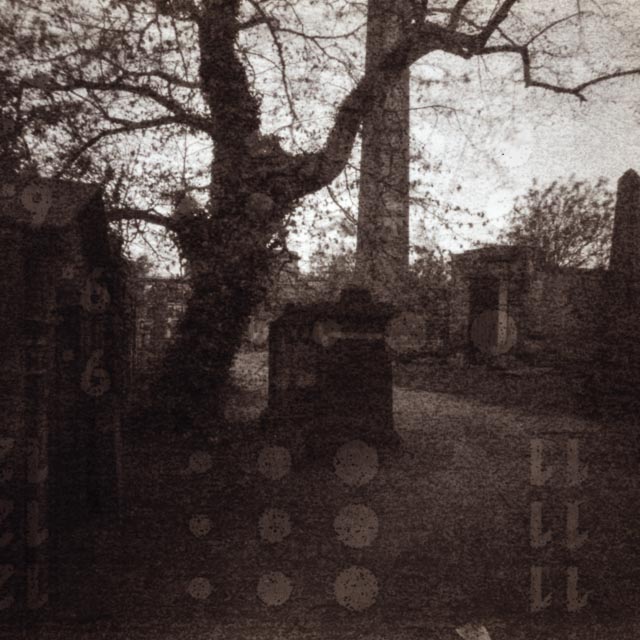 Analogue pinhole 12